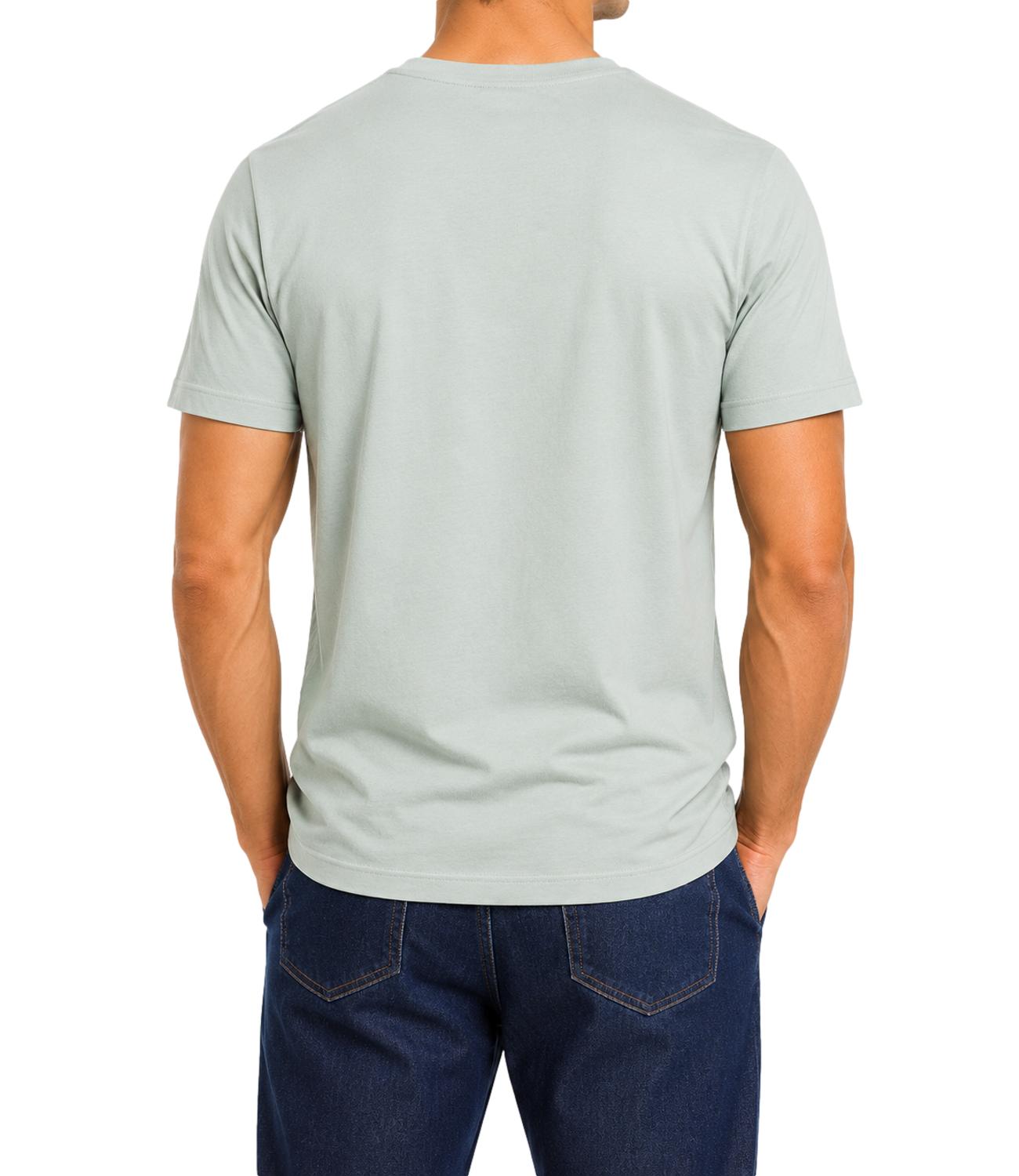 U.s. Polo Assn. T-Shirt da Uomo - Multicolor - Us43154015000148